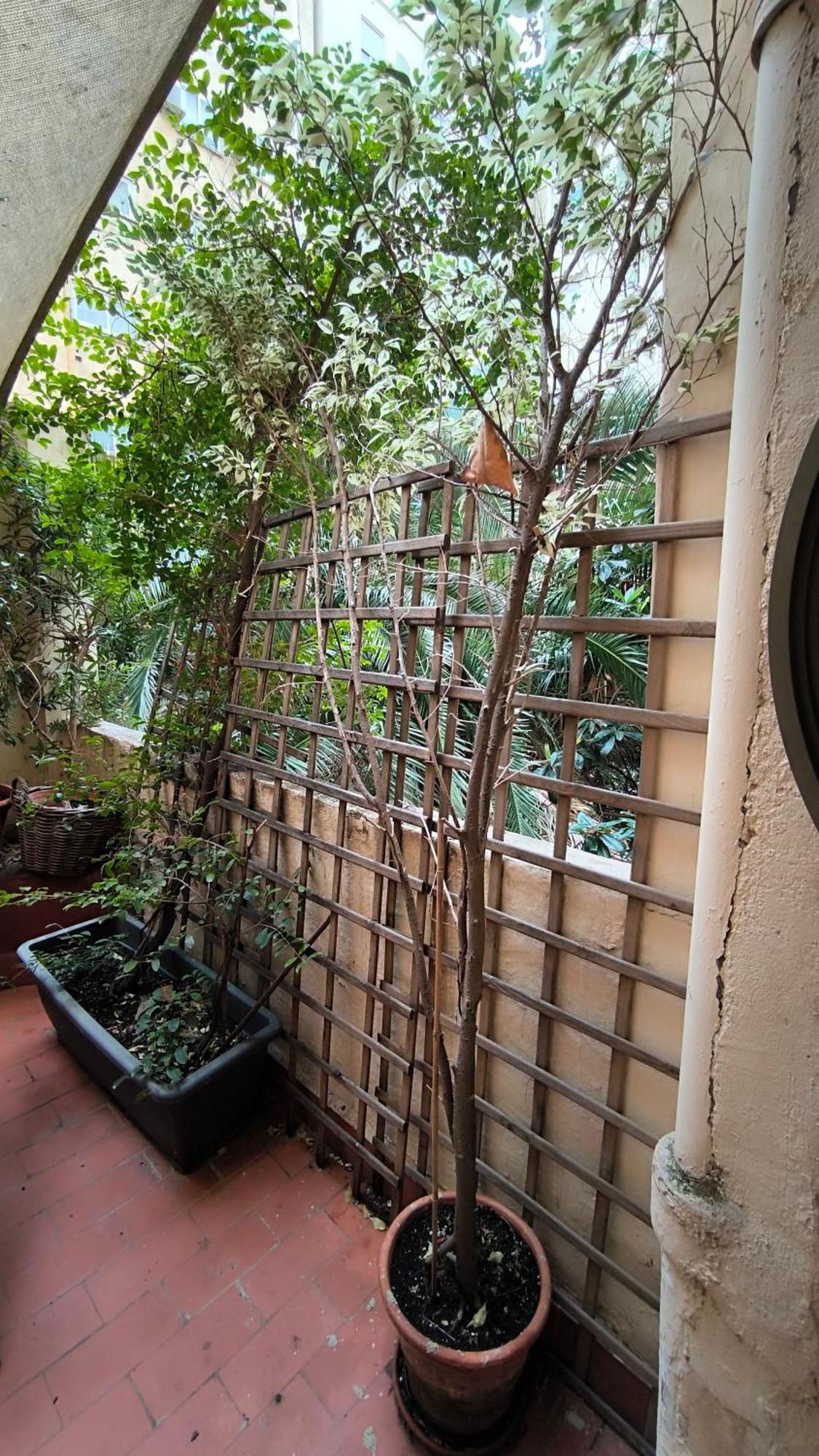 7 Moons B&B 발렌시아 외부 사진